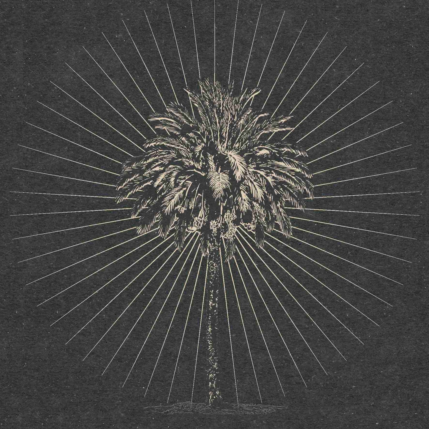 'In front of the sun'