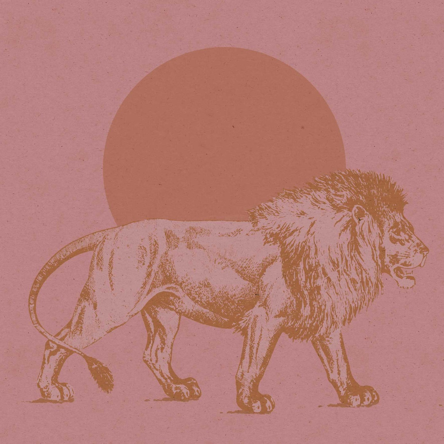 "Lion"