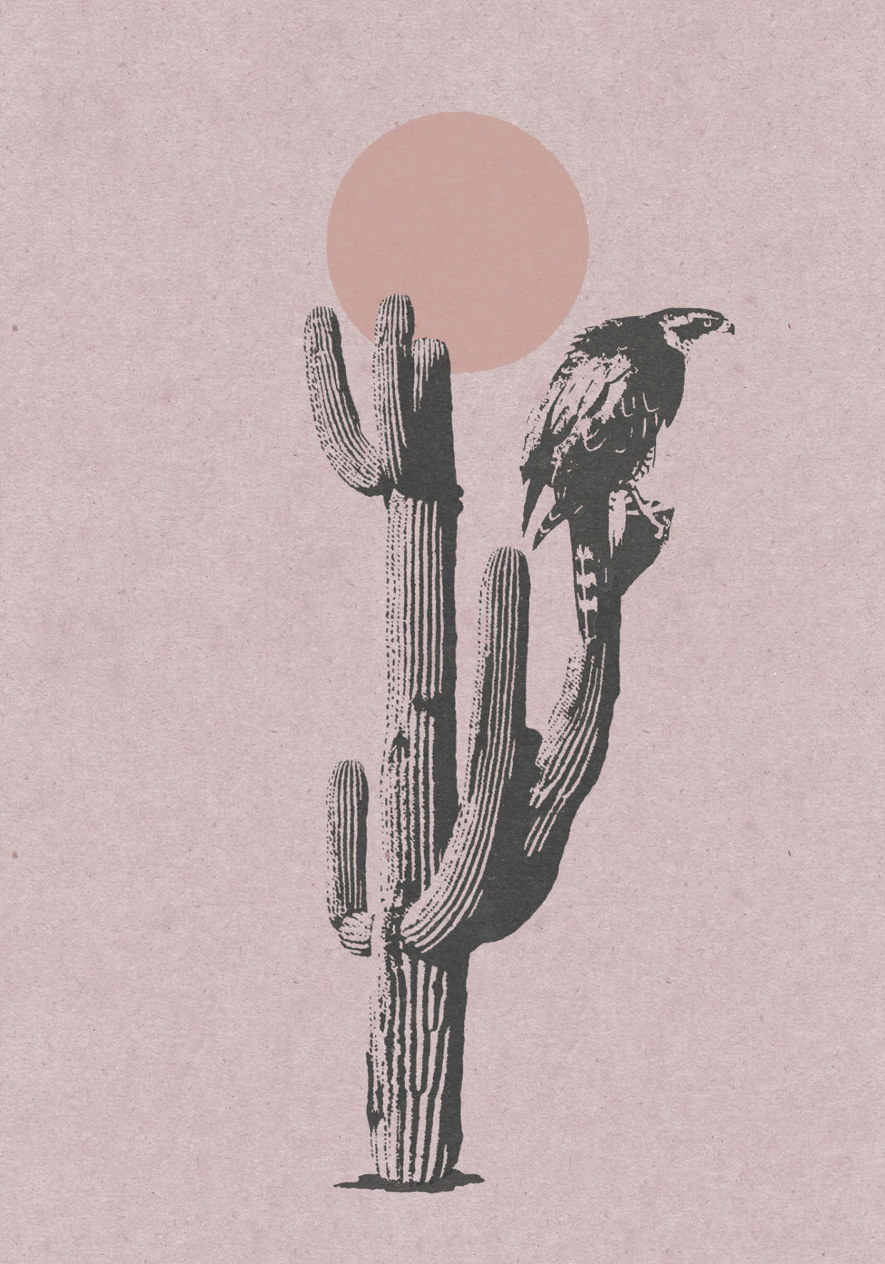 A poster with an illustration of a hawk sitting on a large cactus